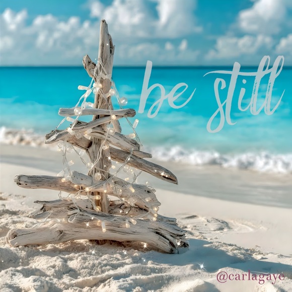 Meet the Posher Other - Come See My Closet!😊